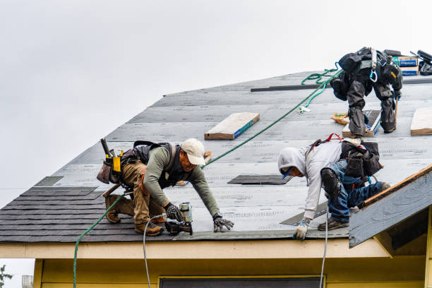 Professional Gutter Installation technician working in Harlan, IA